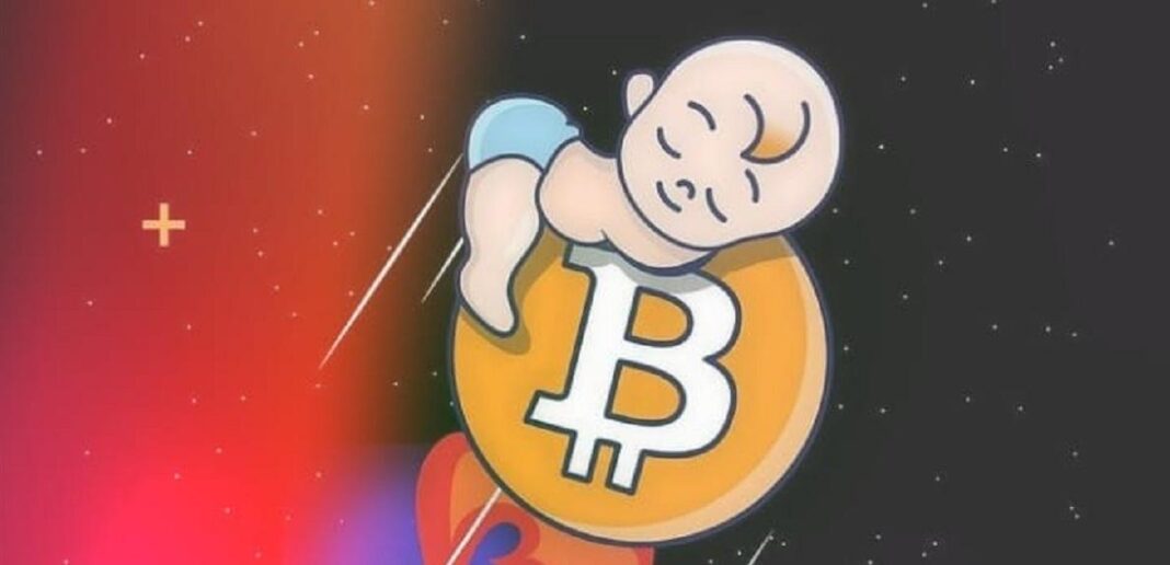 baby bitcoin price prediction 2030