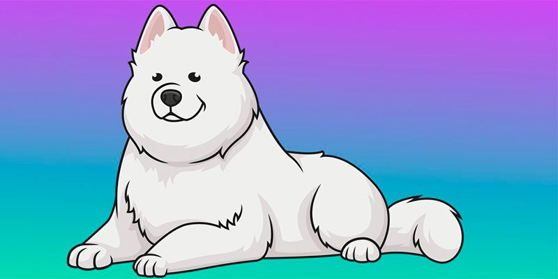 Samoyed Coin Price Prediction & How to Buy Samoyed Coin