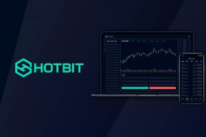 hotbit exchange