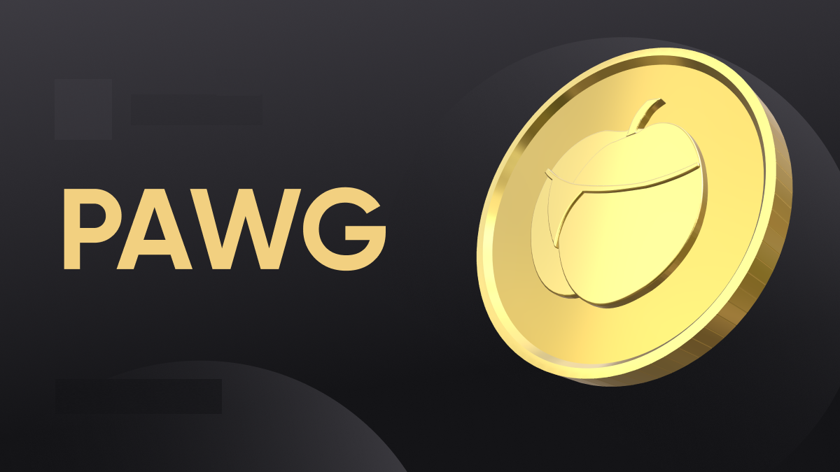 Where to Buy PAWG Coin