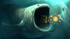 Track Whales Buying Cryptos